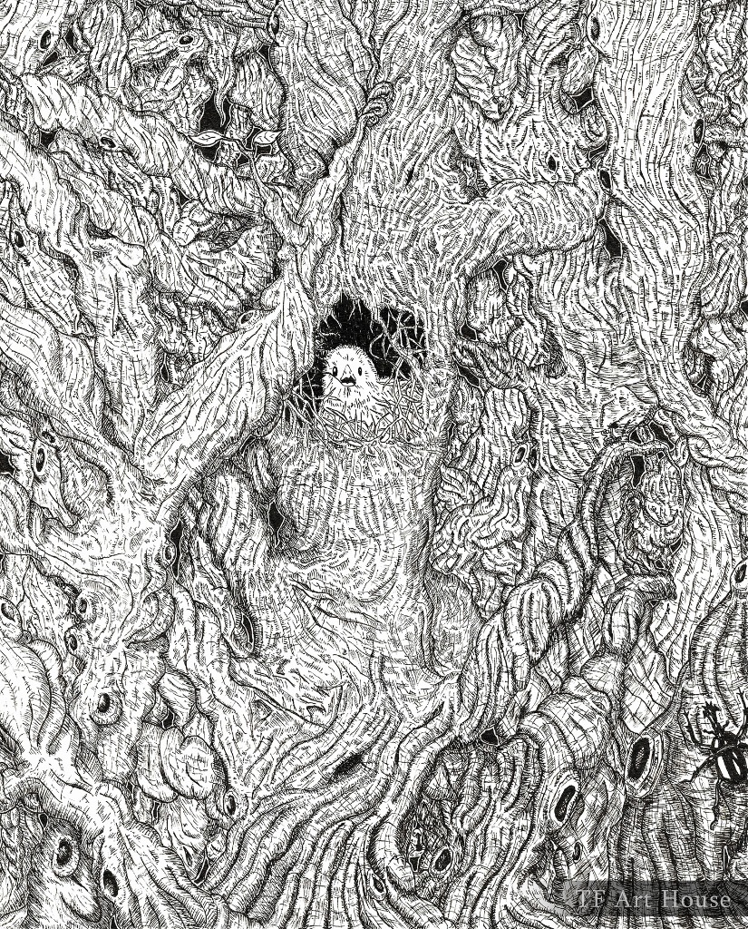 朽ちる大樹と生まれる命